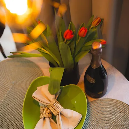Green Apartment Centrum & 24H Self Check-In With Private Parking * Banská Bystrica